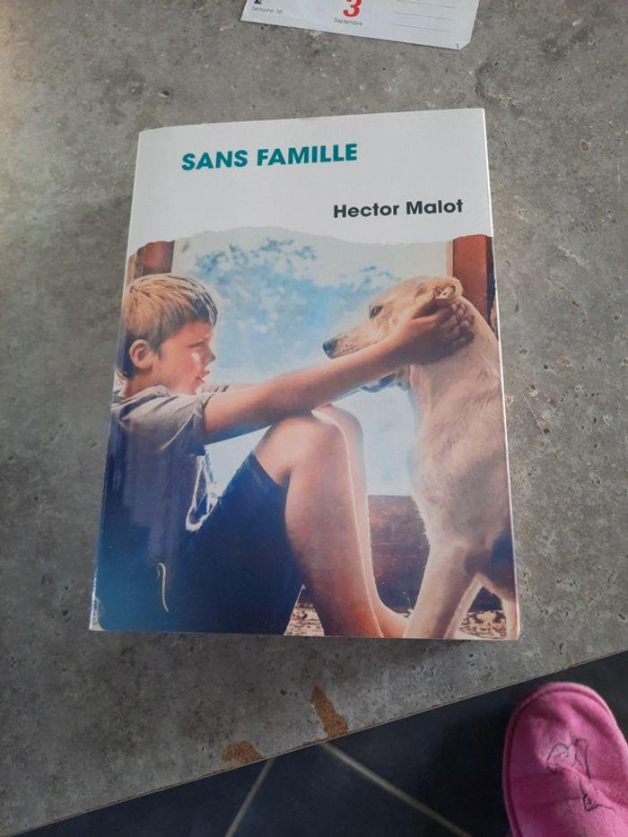 Sans famille - photo numéro 1