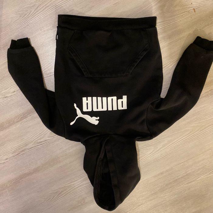 Pull puma - photo numéro 1