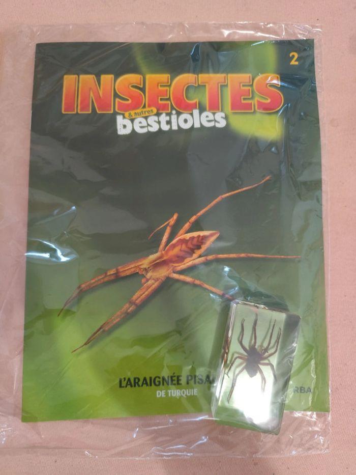 Insectes et autres bestioles n° 1.2.3.4.5.6.7 - photo numéro 2