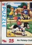 Puzzle poney