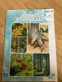 Arbres et feuilles dessin et peinture