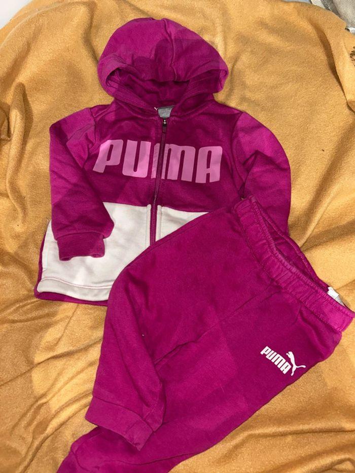 Ensemble puma - photo numéro 1