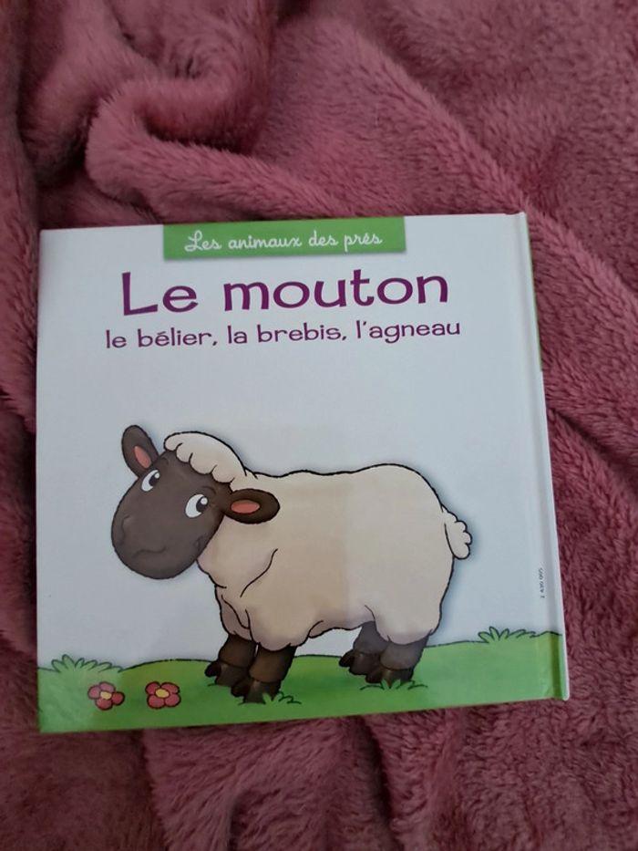 Le mouton - photo numéro 2