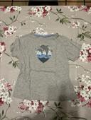 Tee shirt gris