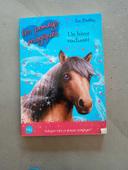 Livre les poney magique un hiver enchanté