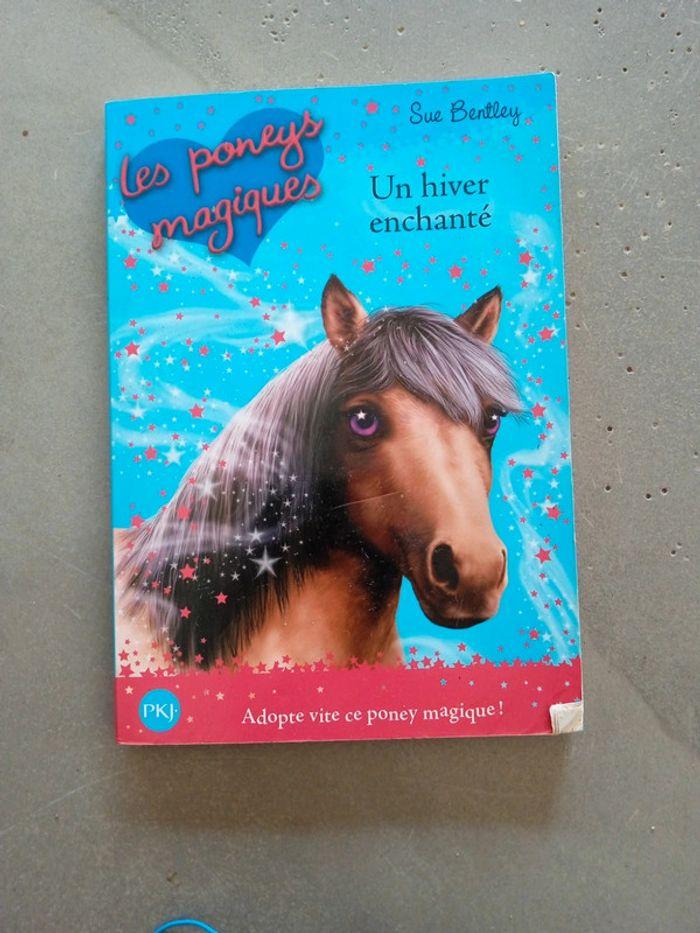 Livre les poney magique un hiver enchanté - photo numéro 1