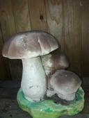 champignon nain de jardin