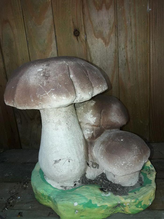 champignon nain de jardin - photo numéro 1