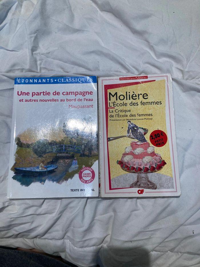 Lots de deux livres écoles Molière/Maupassant - photo numéro 1