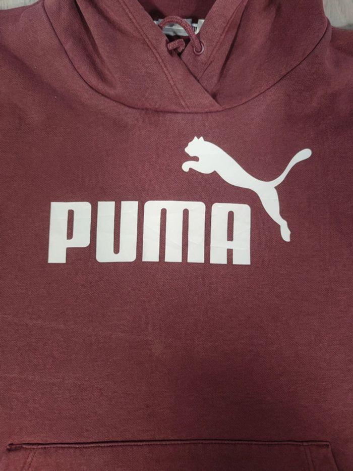 Sweat à Capuche Puma Bordeaux Logo Floqué Blanc Taille XS Homme - photo numéro 3