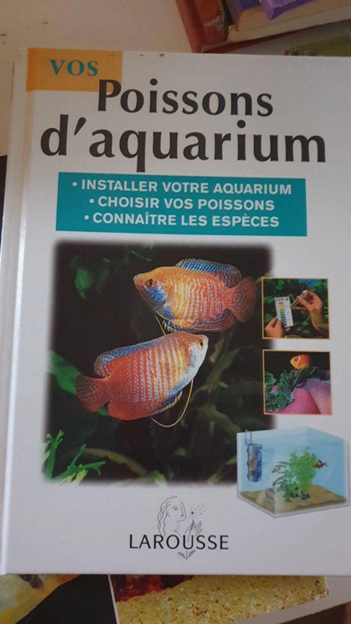 Poissons d aquarium - photo numéro 1