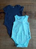 Lot 2 bodies manches courtes taille 74