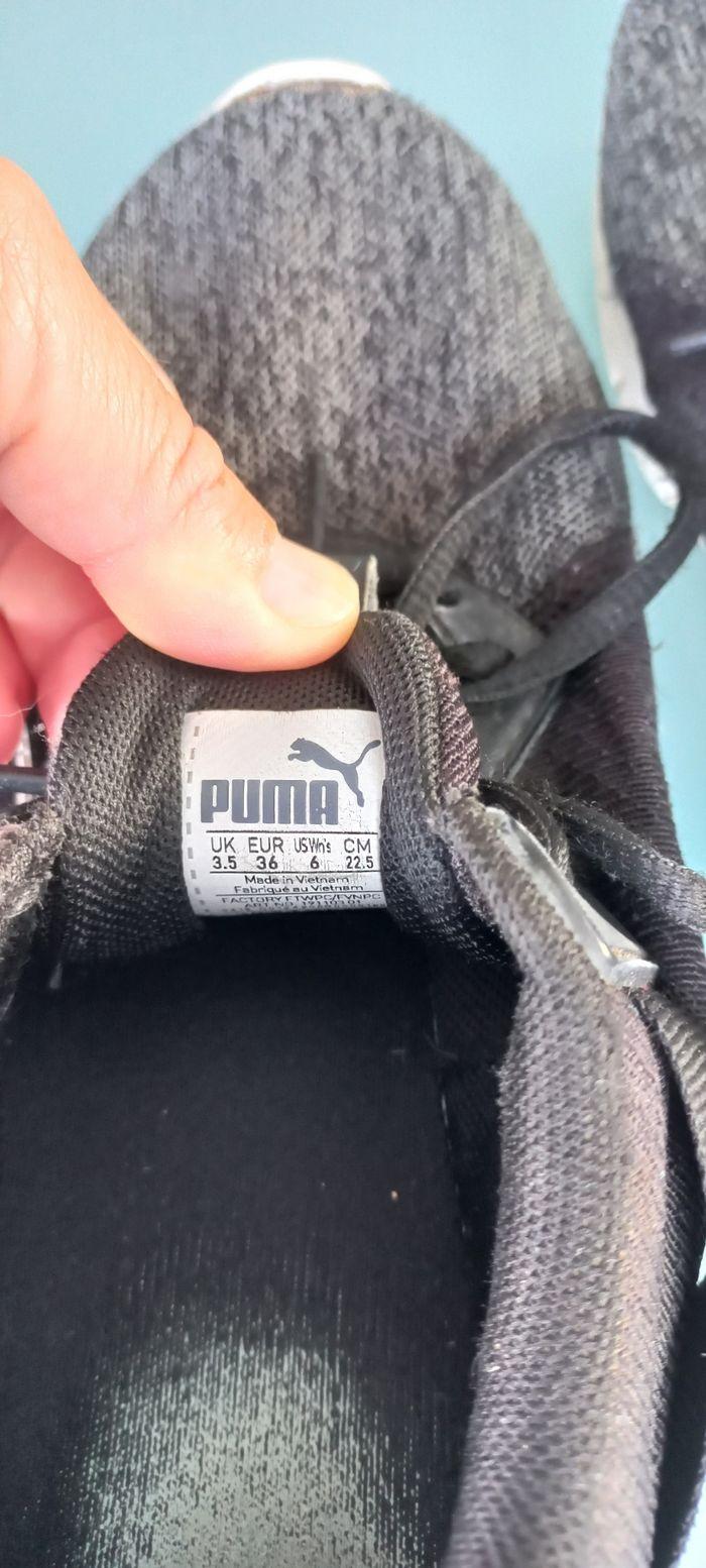 Puma - photo numéro 3