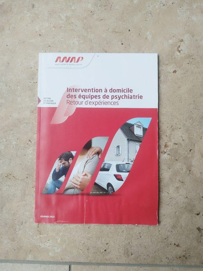 Intervention à domicile des équipes de psychiatrie Retour d'expérience ANAP - photo numéro 1