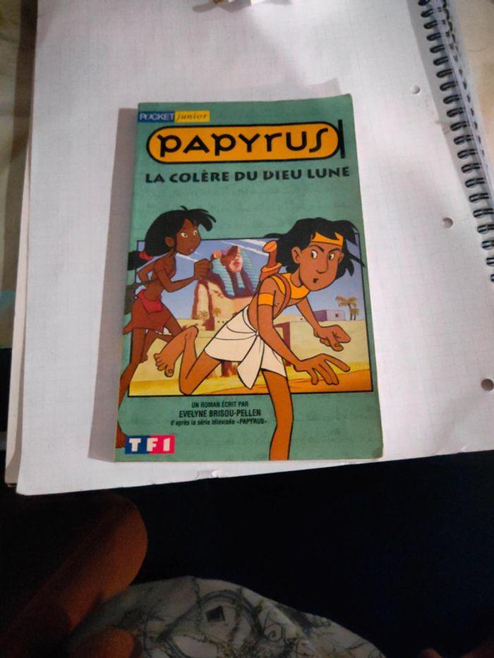 Livre papyrus - photo numéro 1