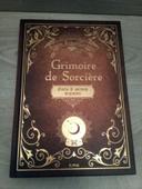 Gros livre grimoire de sorcière