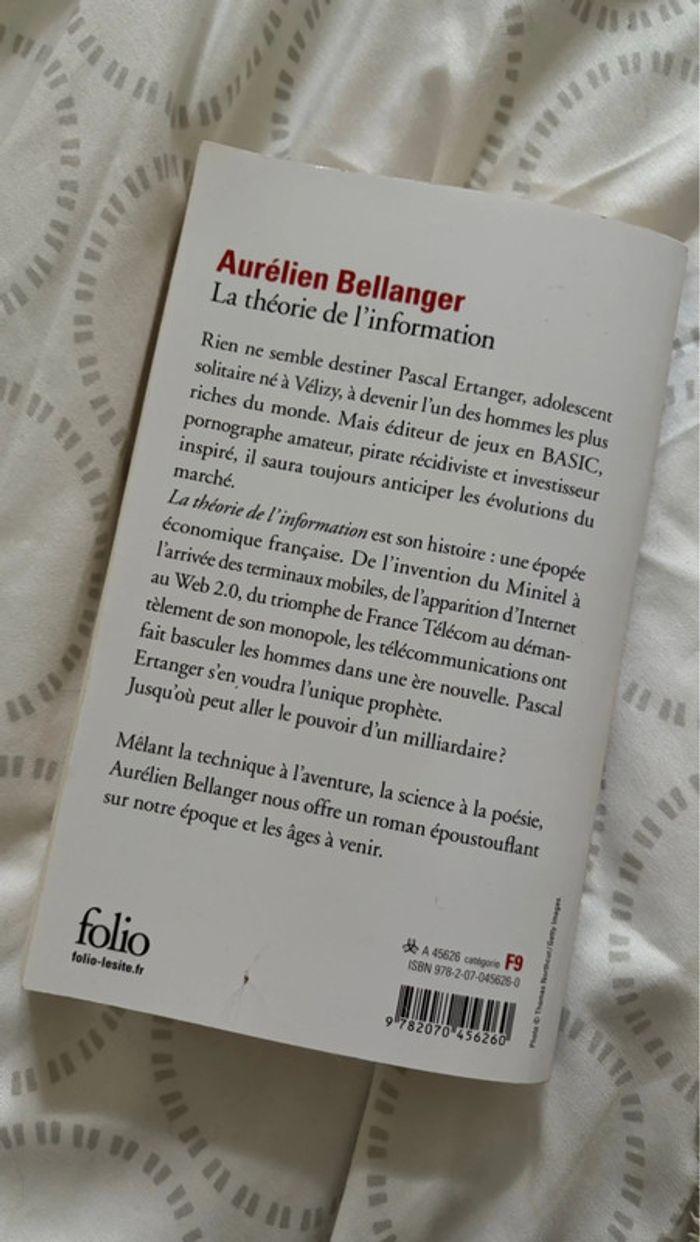 La théorie de l’information - Aurélien Bellanger - photo numéro 2