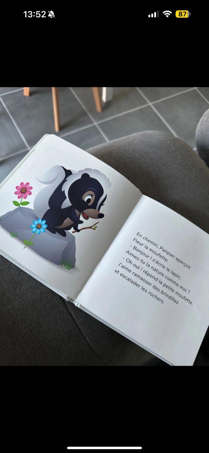 Livre Disney baby Panpan - photo numéro 3