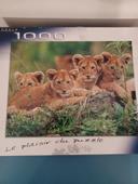 Puzzles 1000 pièces 4 lionceaux