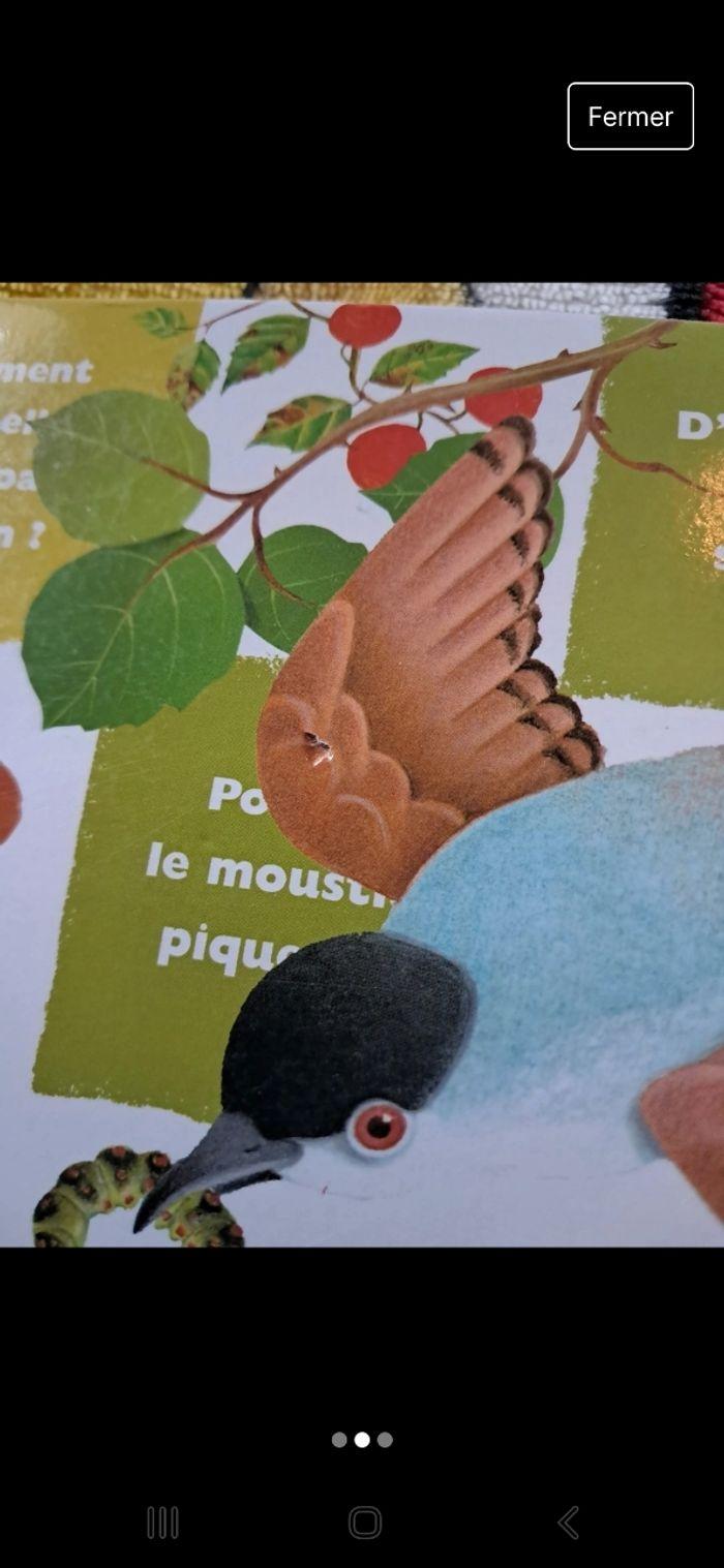 Livre mes premières questions sur les animaux - photo numéro 2