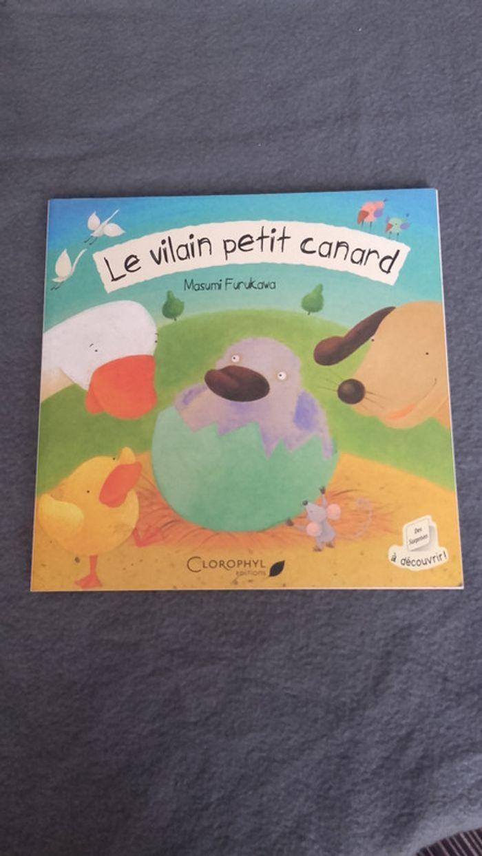 le vilain petit canard - photo numéro 1