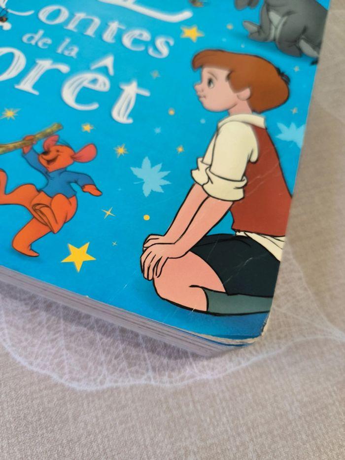 Livre Disney Winnie l'ourson 12 contes de la forêt - photo numéro 6