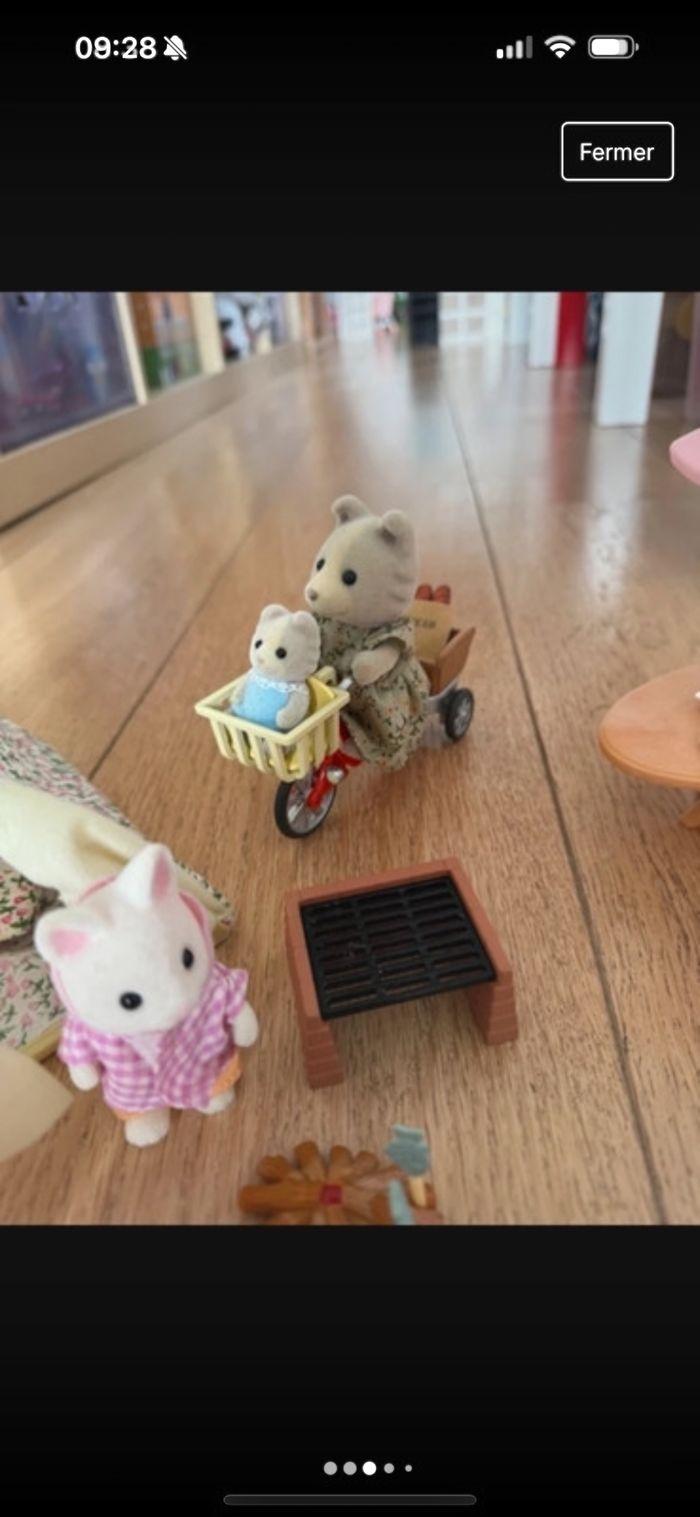 Sylvanian - photo numéro 3