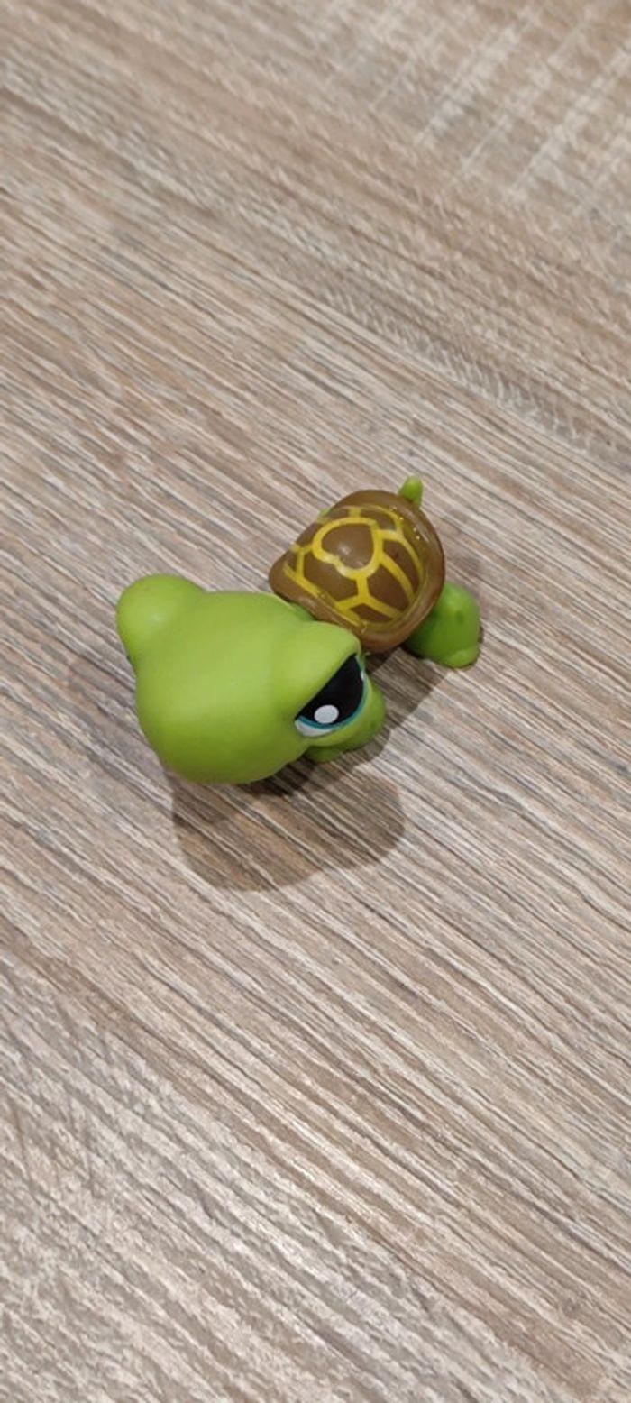 Tortue Littlest Pet Shop - photo numéro 1