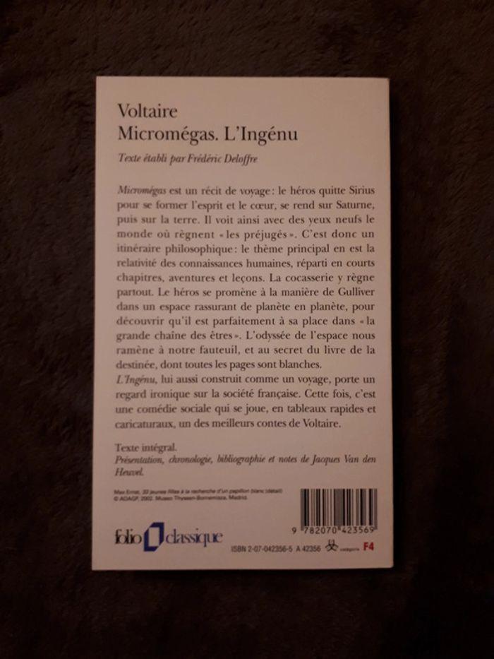 Micromégas. L'Ingénu. De Voltaire neuf - photo numéro 3