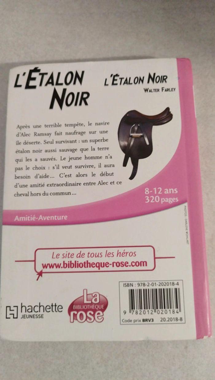 Livre - l'étalon noir - tome 1 - photo numéro 2