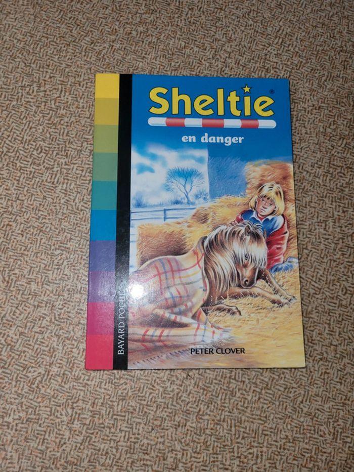 Sheltie en danger - photo numéro 1