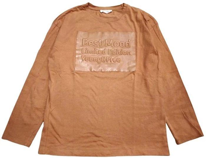 Tee-shirt Camel Zara 11/12 ans neuf - photo numéro 1