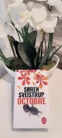 livre Octobre - Sveistrup Soren comme neuf