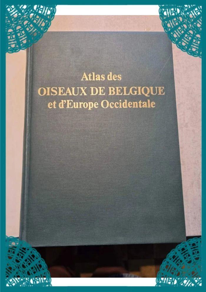 🌺 atlas des oiseaux de Belgique et d'Europe occidentale - photo numéro 4