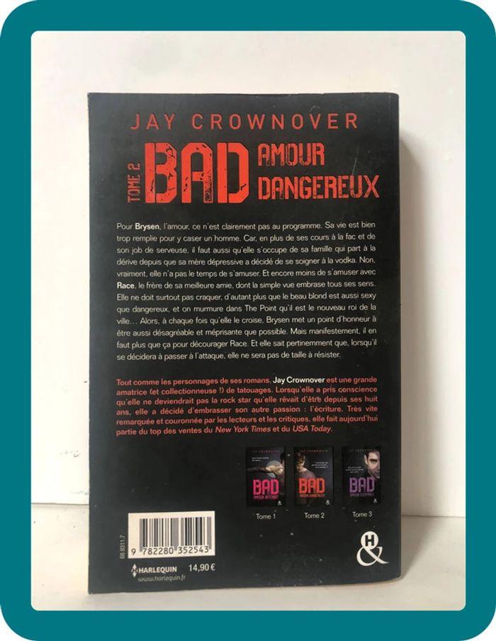 Livre Bad Amour dangereux - photo numéro 4