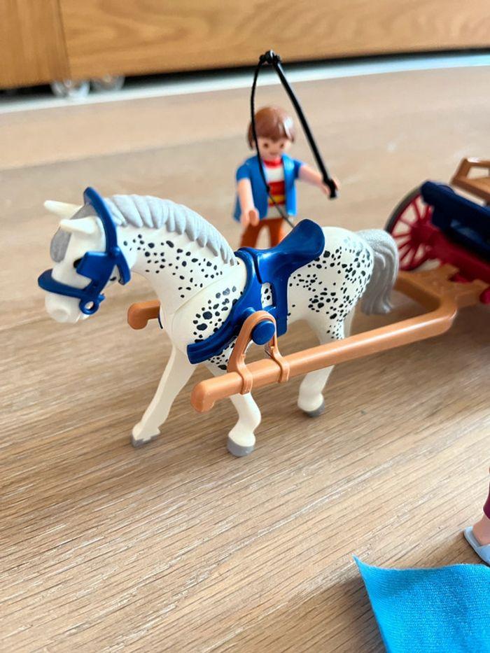 5226 - caleche et pique nique en famille playmobil country - photo numéro 3