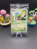 Arcko/Treecko - Pokemon Center Yokohama - Promo - Scelle