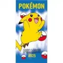 Drap de bain Pokémon