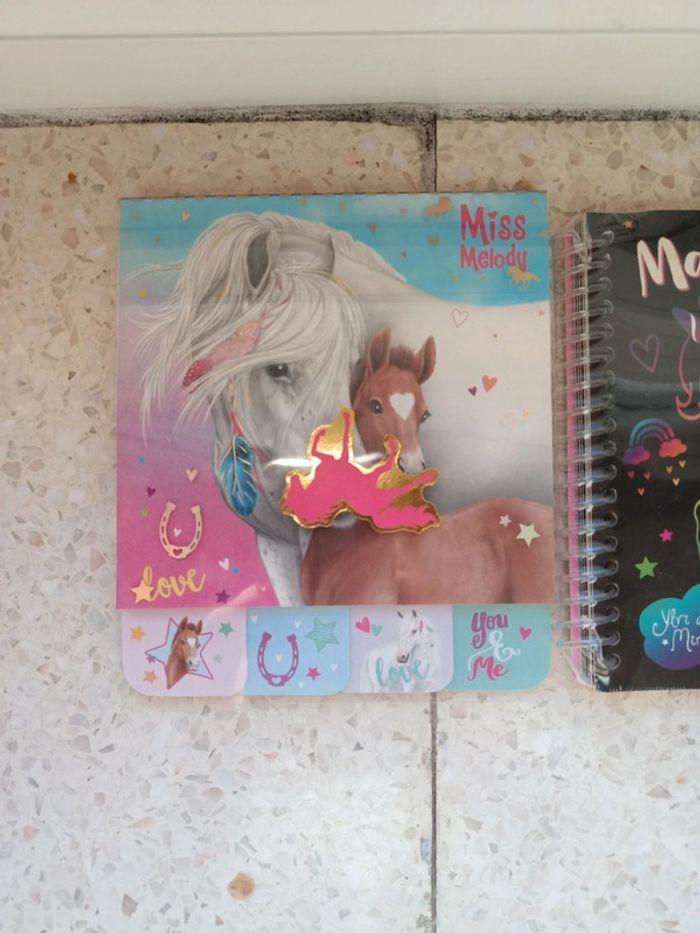 Carnets poneys - photo numéro 2