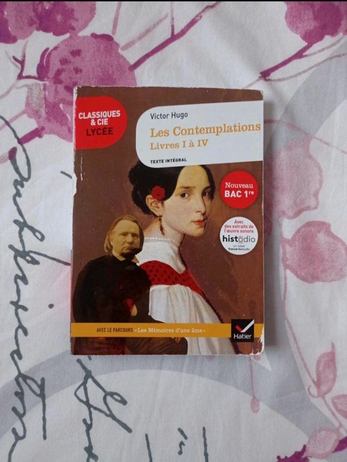 Livres I à IV - "Les contemplations" de Victor Hugo - photo numéro 1