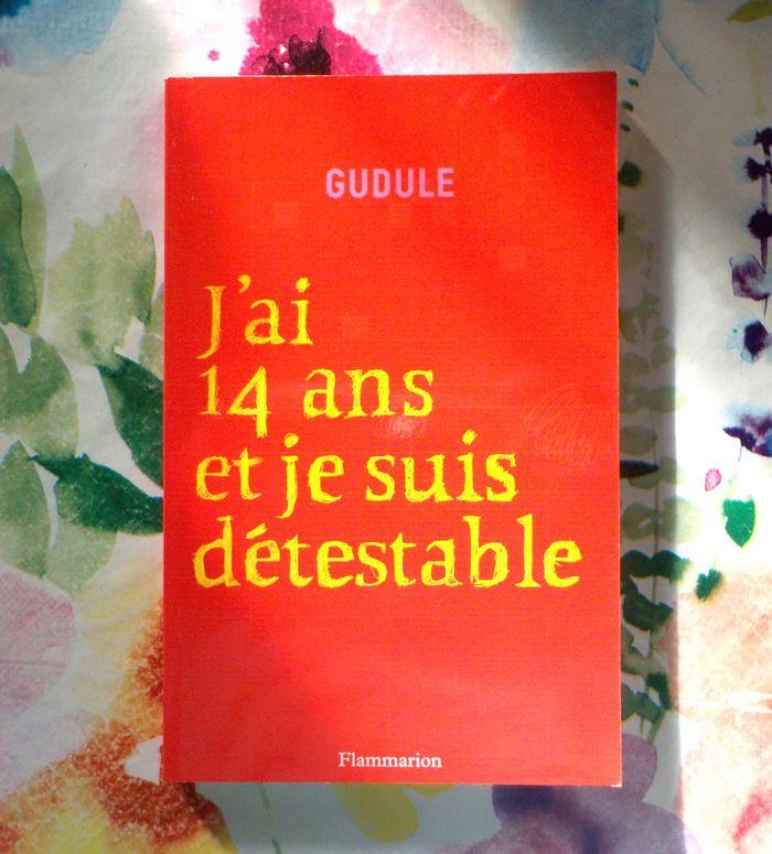 J'AI 14 ANS ET JE SUIS DETESTABLE de GUDULE Ed. Flammarion - photo numéro 1