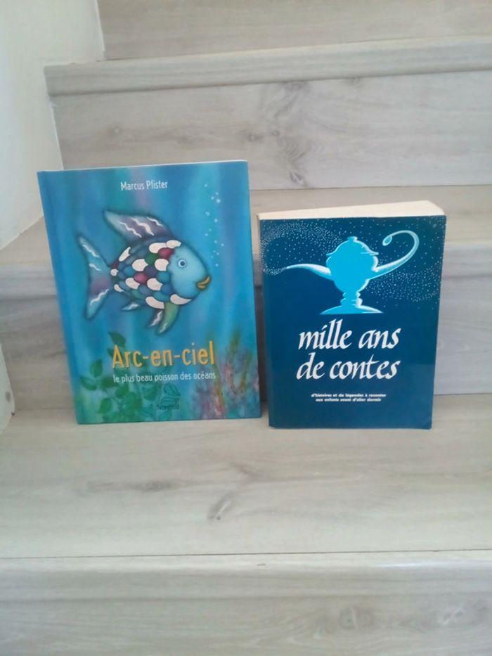 Lot de 2 livres vintages pour enfants - photo numéro 1