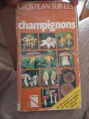 Les champignons satisfaisant