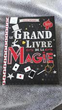 Le grand livre de la magie - Gilles Arthur