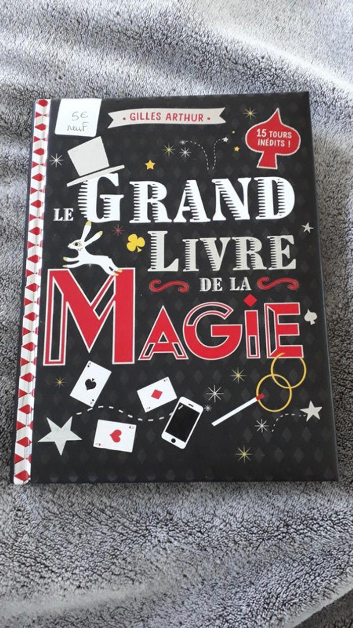 Le grand livre de la magie - Gilles Arthur - photo numéro 1