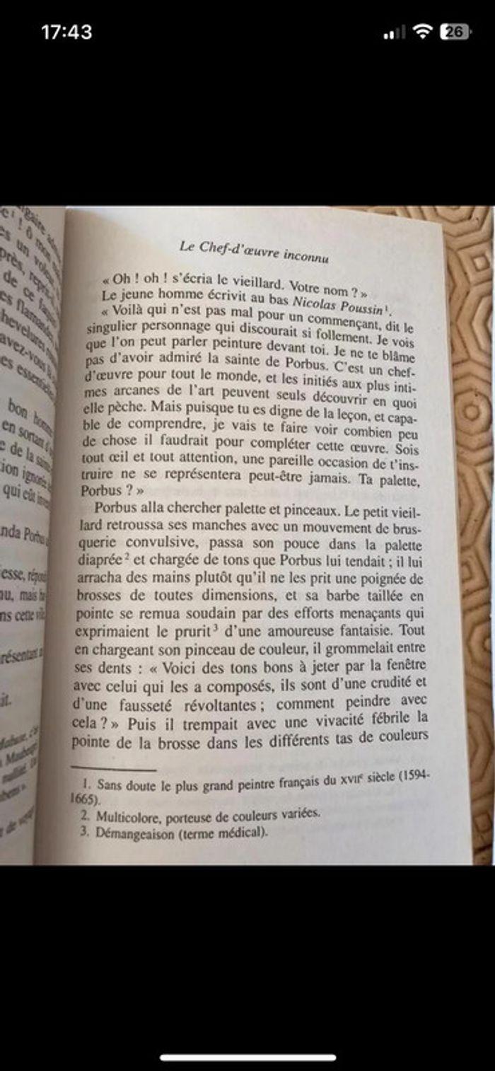 livre le chef d'oeuvre inconnu - photo numéro 3