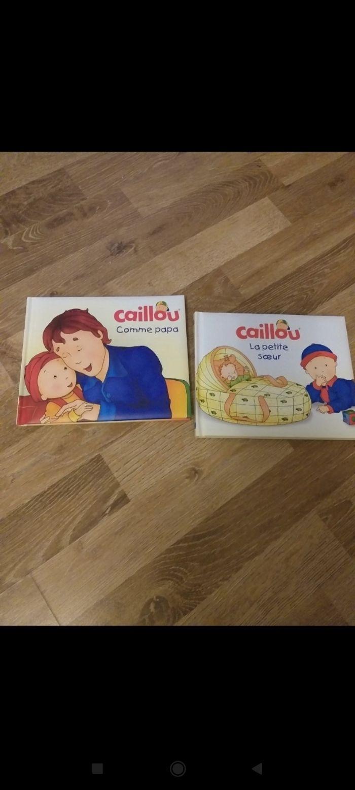 Livres caillou - photo numéro 1