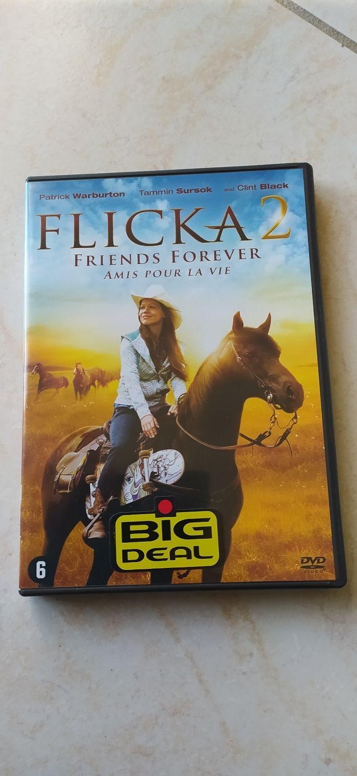 DVD FLICKA 2 - photo numéro 1