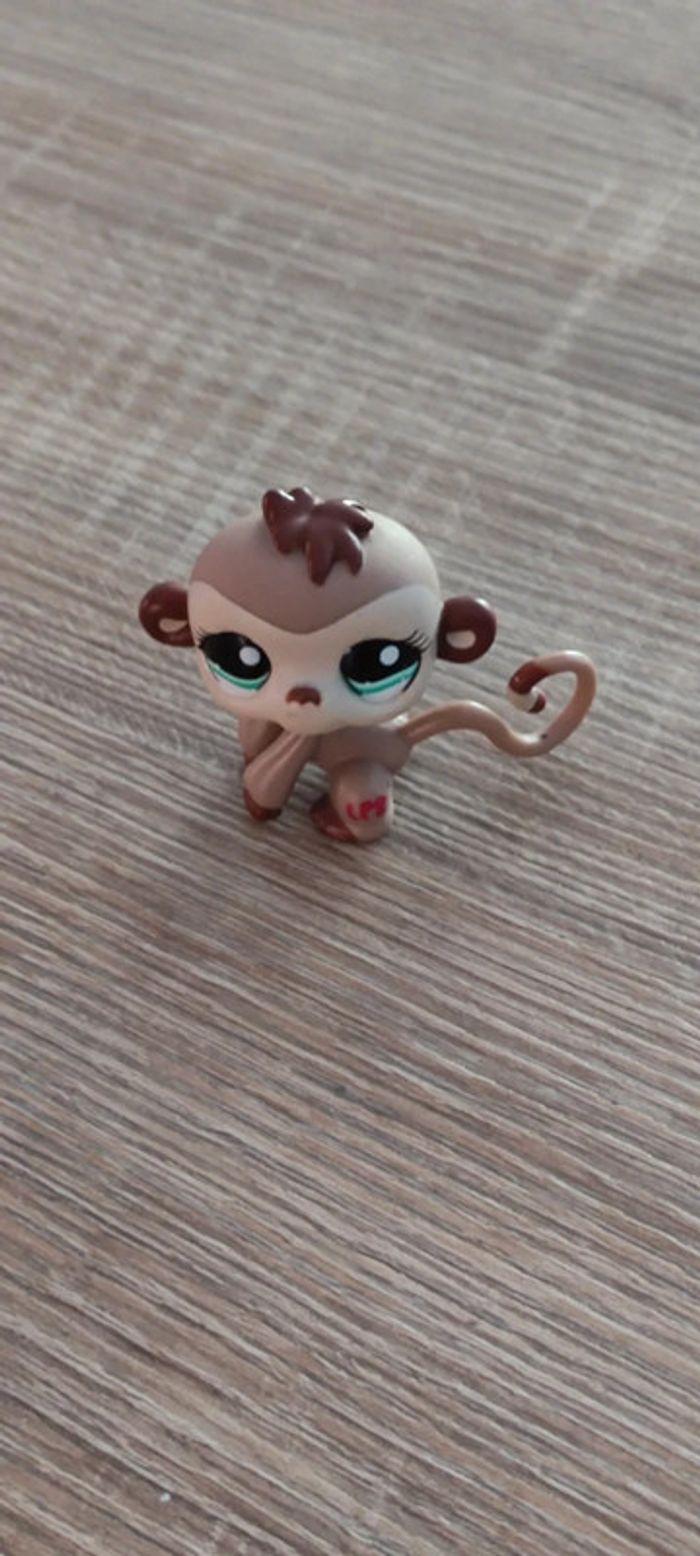 Singe Littlest Pet Shop - photo numéro 1