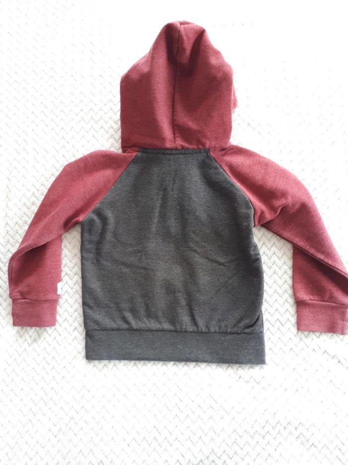 Gilet zippé à capuche gris et lie de vin Longboard 4 ans - photo numéro 6